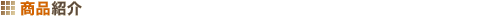 ���i�Љ�