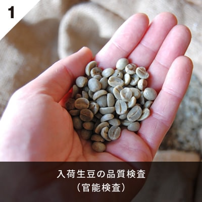 入荷生豆の品質検査（官能検査）