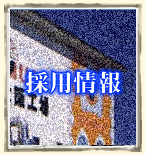 �̗p���